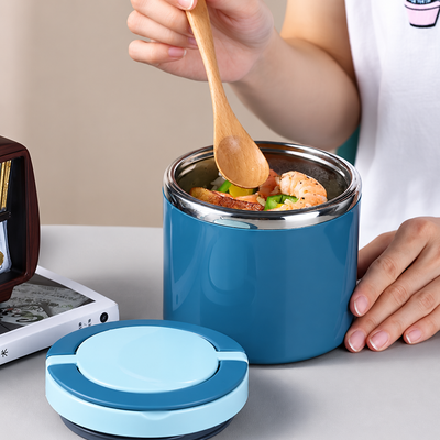 Bento Style Lunch Box with Handle, Stainless Steel Lunch Container